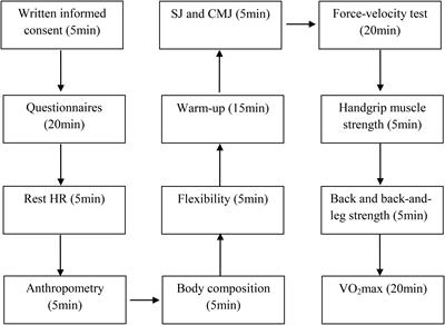 Pacing Strategies in the ‘Athens Classic Marathon’: Physiological and Psychological Aspects
